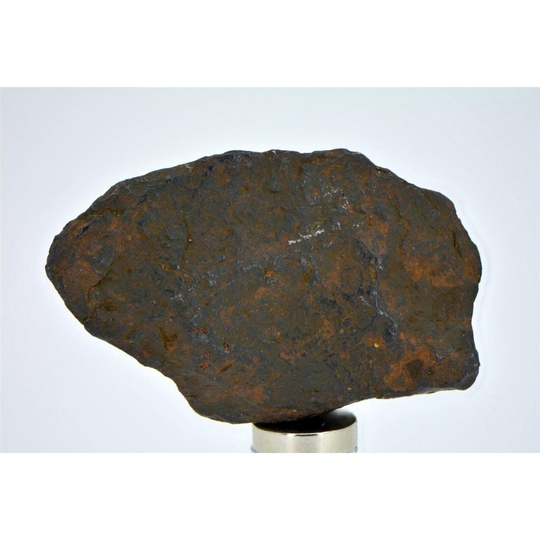 25.3 gram CANYON DIABLO meteorite - IAB Iron Meteorite - TOP METEORITE Image 2