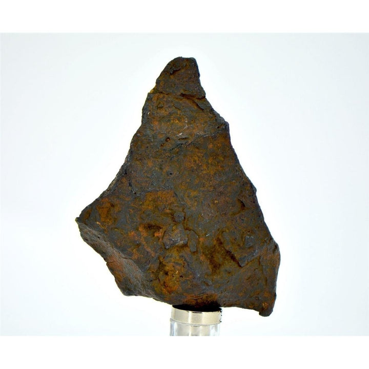 43.3 gram CANYON DIABLO meteorite - IAB Iron Meteorite - TOP METEORITE Image 1