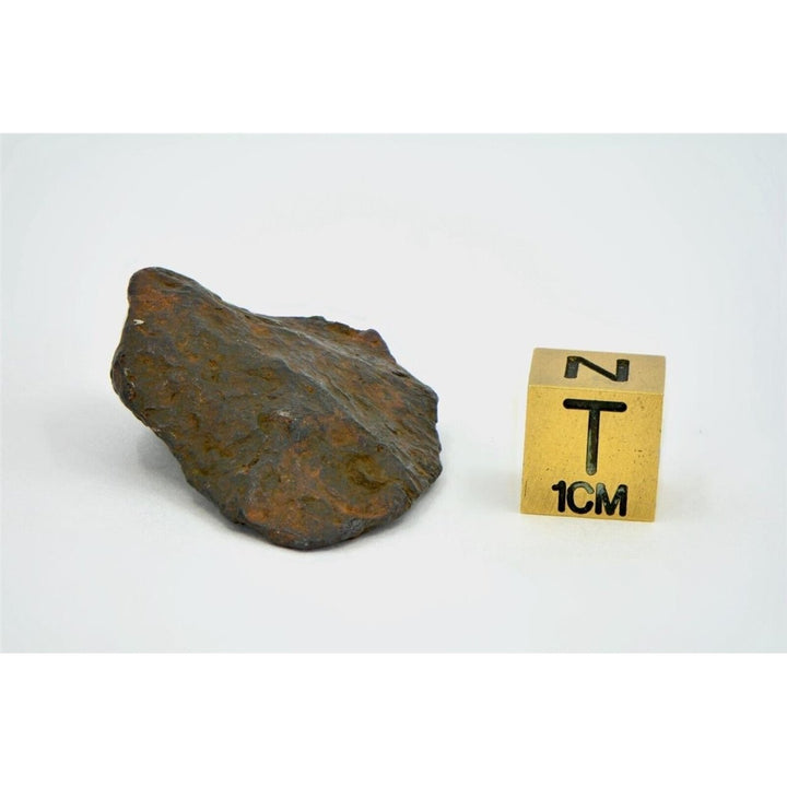 25.3 gram CANYON DIABLO meteorite - IAB Iron Meteorite - TOP METEORITE Image 6