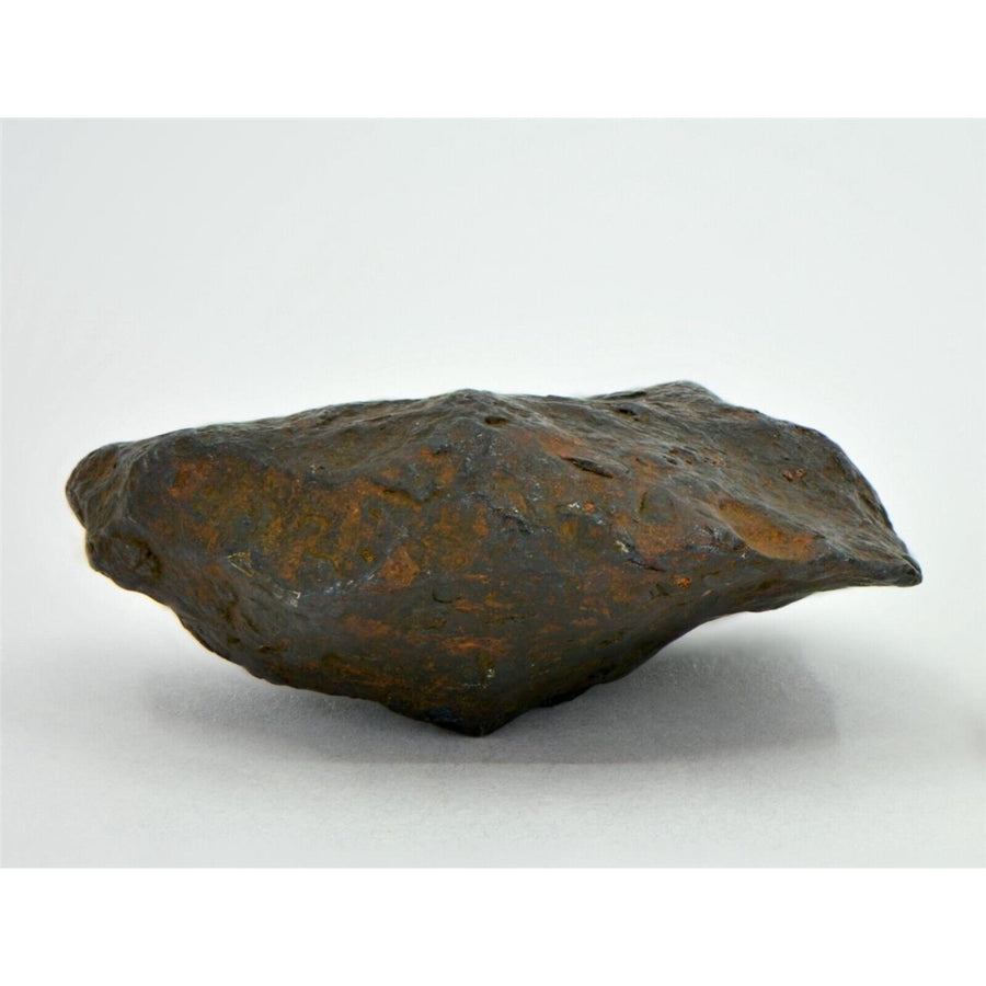 34.8 gram CANYON DIABLO meteorite - IAB Iron Meteorite - TOP METEORITE Image 1