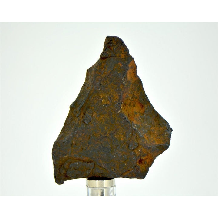 43.3 gram CANYON DIABLO meteorite - IAB Iron Meteorite - TOP METEORITE Image 4