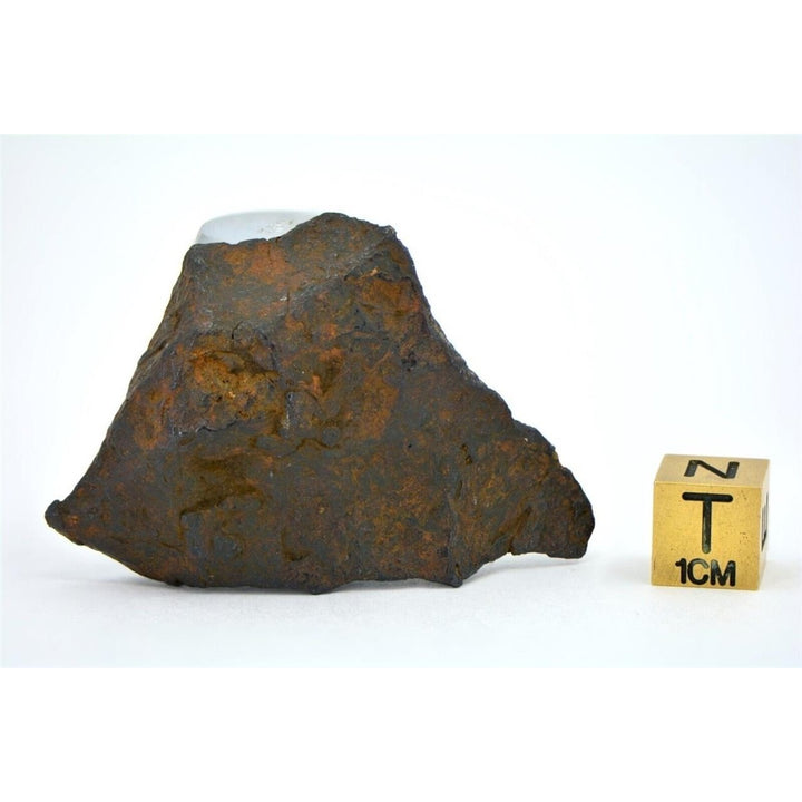 43.3 gram CANYON DIABLO meteorite - IAB Iron Meteorite - TOP METEORITE Image 6