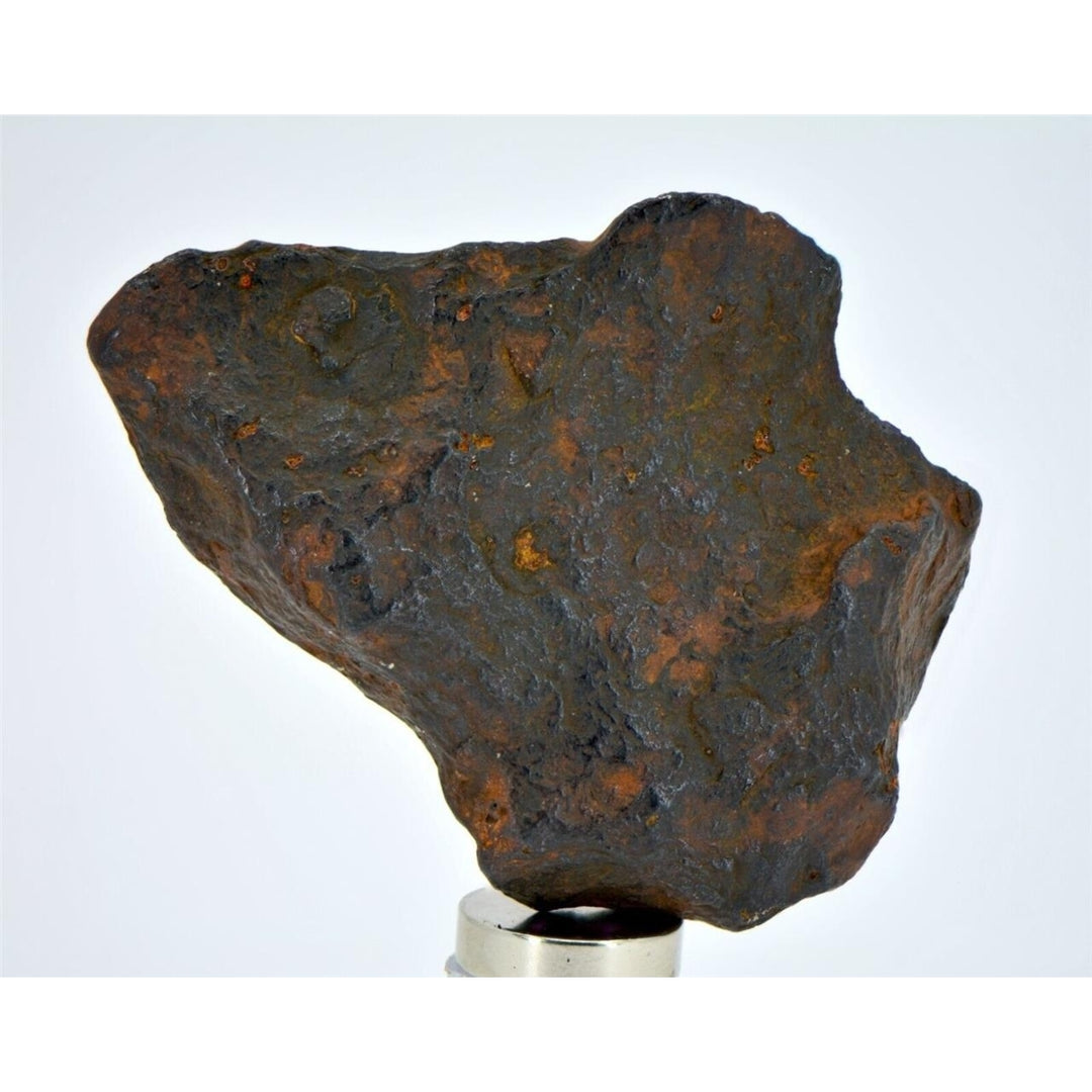 24.4 gram CANYON DIABLO meteorite - IAB Iron Meteorite - TOP METEORITE Image 1