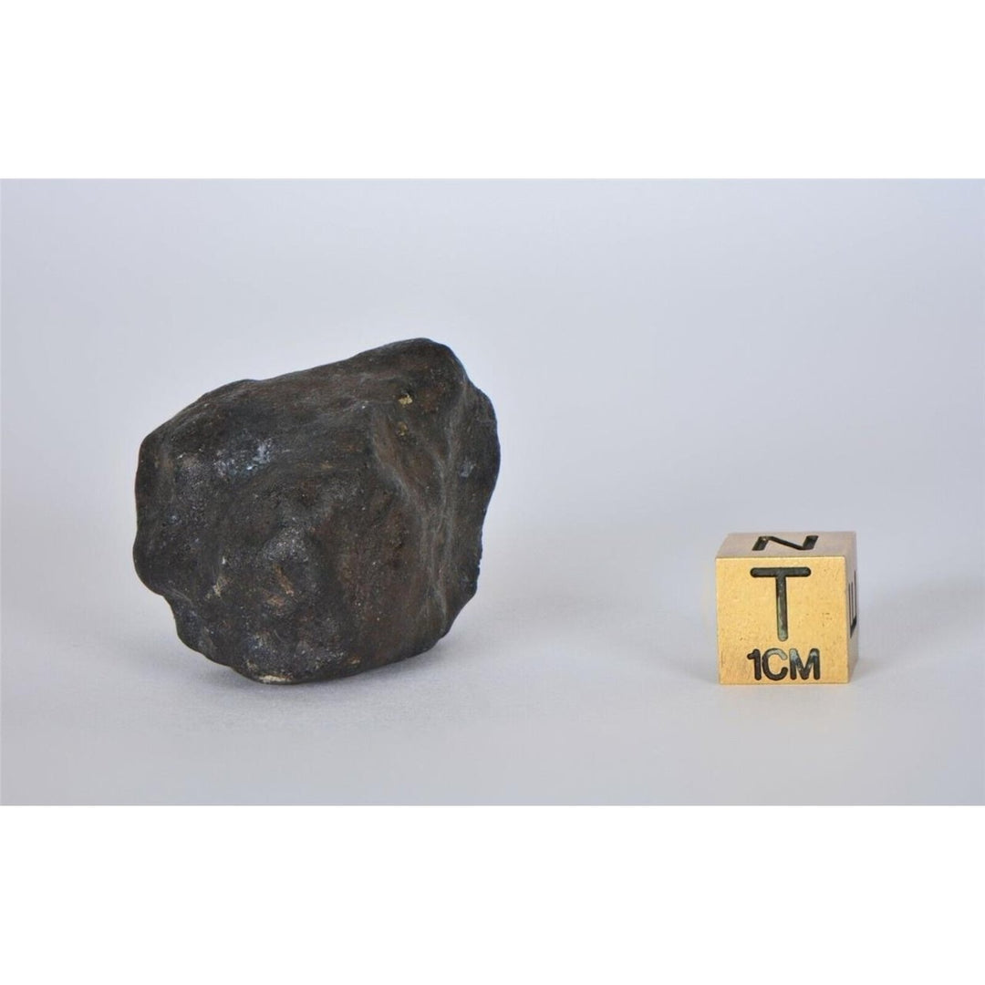 35.49g KSAR El GORAANE - H5 Moroccan Meteorite Fall Oct 2018 - TOP METEORITE Image 4