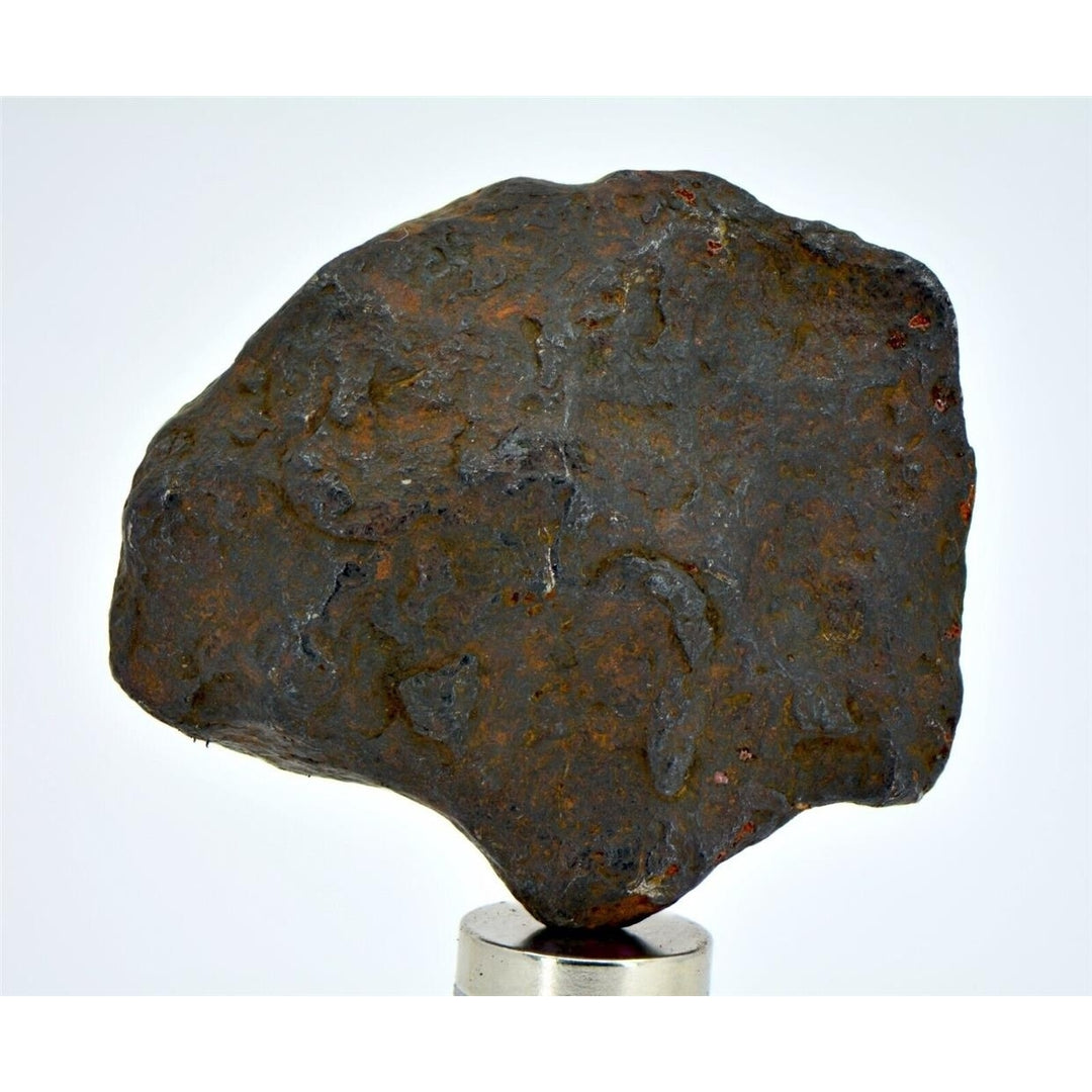 34.8 gram CANYON DIABLO meteorite - IAB Iron Meteorite - TOP METEORITE Image 2