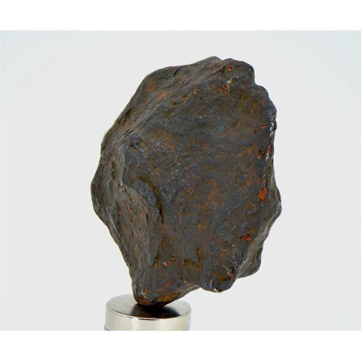 34.8 gram CANYON DIABLO meteorite - IAB Iron Meteorite - TOP METEORITE Image 3