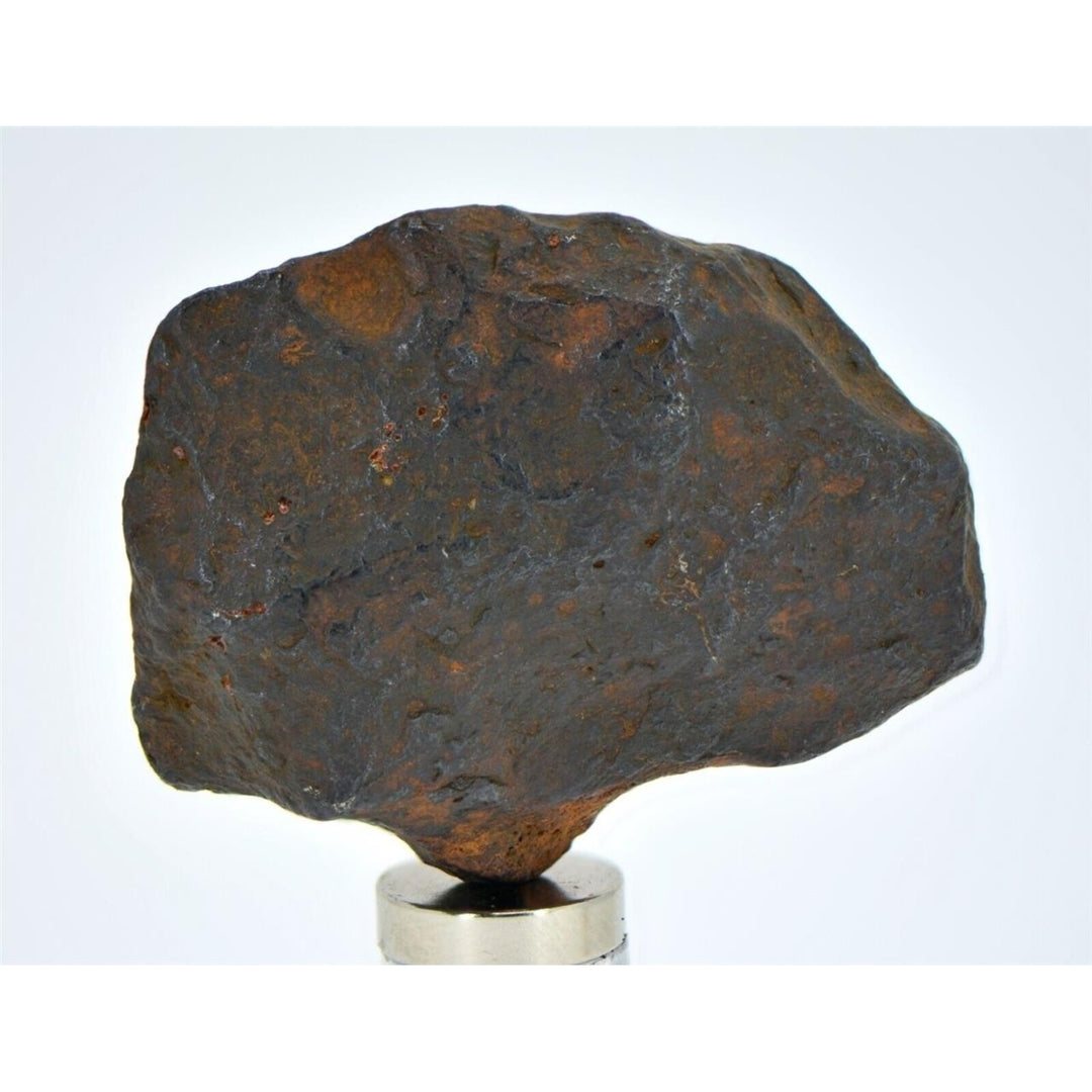 34.8 gram CANYON DIABLO meteorite - IAB Iron Meteorite - TOP METEORITE Image 4