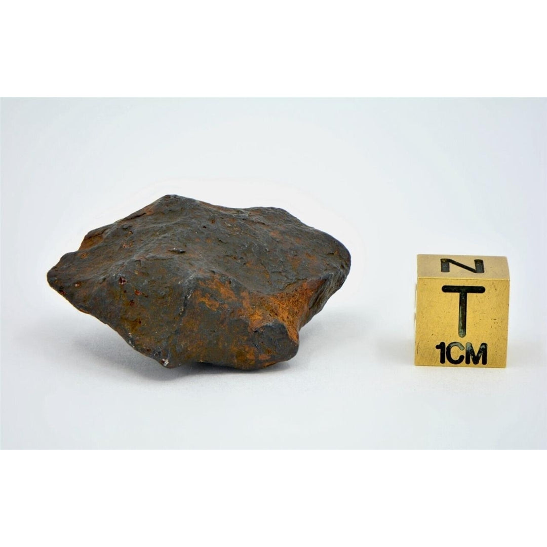 34.8 gram CANYON DIABLO meteorite - IAB Iron Meteorite - TOP METEORITE Image 6