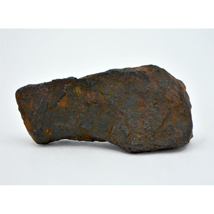 19.1 gram CANYON DIABLO meteorite - IAB Iron Meteorite - TOP METEORITE Image 2