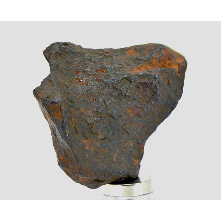 24.4 gram CANYON DIABLO meteorite - IAB Iron Meteorite - TOP METEORITE Image 2