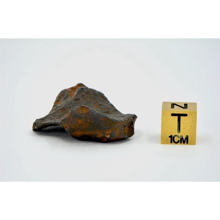 24.4 gram CANYON DIABLO meteorite - IAB Iron Meteorite - TOP METEORITE Image 4