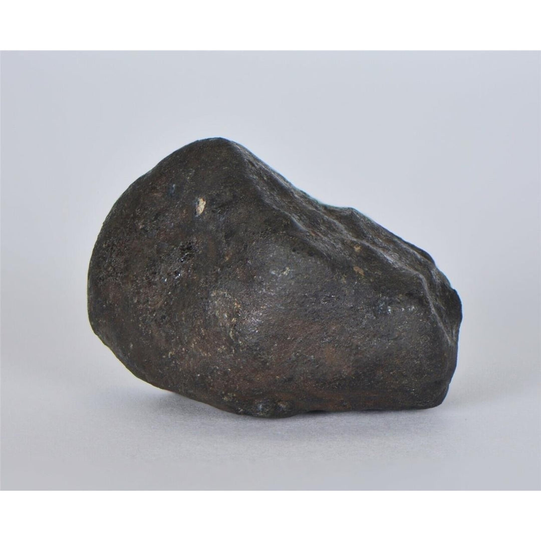 32.53g KSAR El GORAANE - H5  Moroccan Meteorite Fall Oct 2018 - TOP METEORITE Image 2