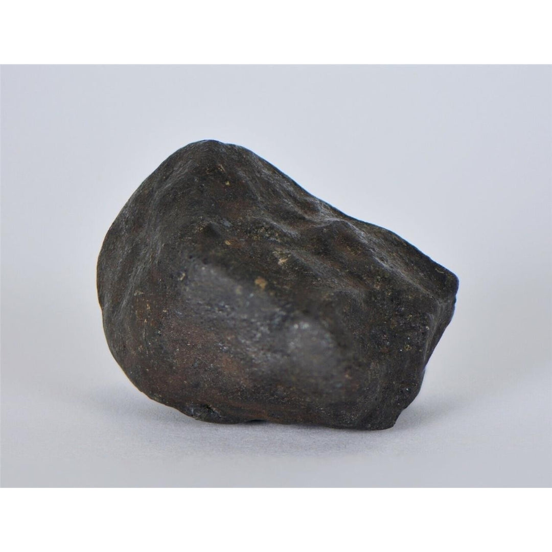 32.53g KSAR El GORAANE - H5  Moroccan Meteorite Fall Oct 2018 - TOP METEORITE Image 3