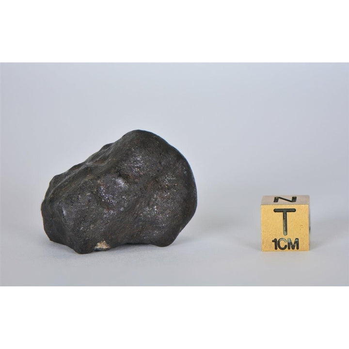 32.53g KSAR El GORAANE - H5  Moroccan Meteorite Fall Oct 2018 - TOP METEORITE Image 4