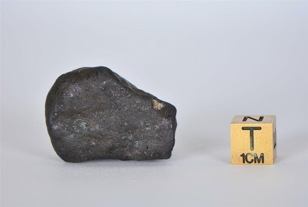 32.53g KSAR El GORAANE - H5  Moroccan Meteorite Fall Oct 2018 - TOP METEORITE Image 6