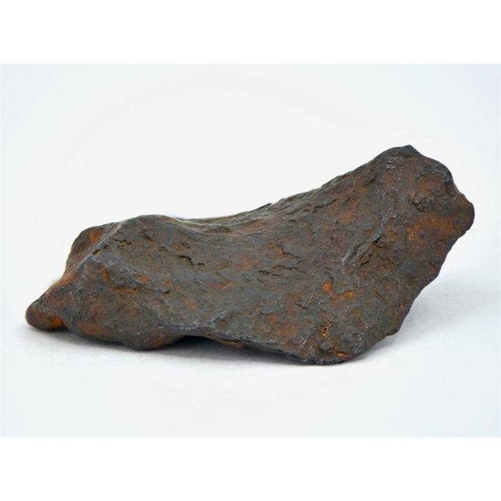 16.5 gram CANYON DIABLO meteorite - IAB Iron Meteorite - TOP METEORITE Image 2