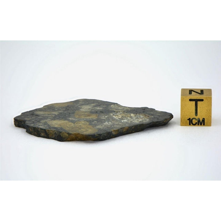 11.24g Eucrite Slice Monomict Basaltic Breccia - TOP METEORITE Image 4