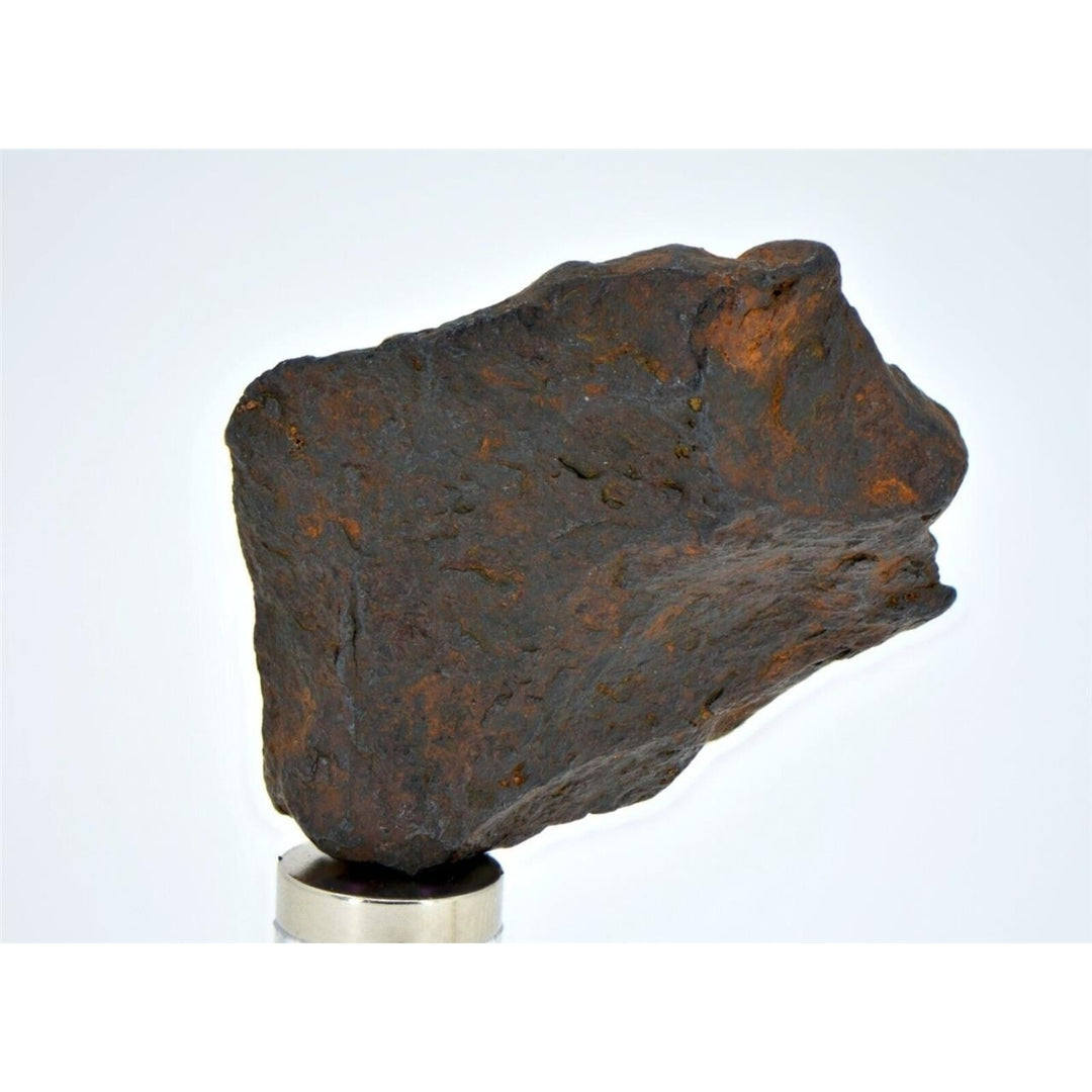 16.5 gram CANYON DIABLO meteorite - IAB Iron Meteorite - TOP METEORITE Image 4