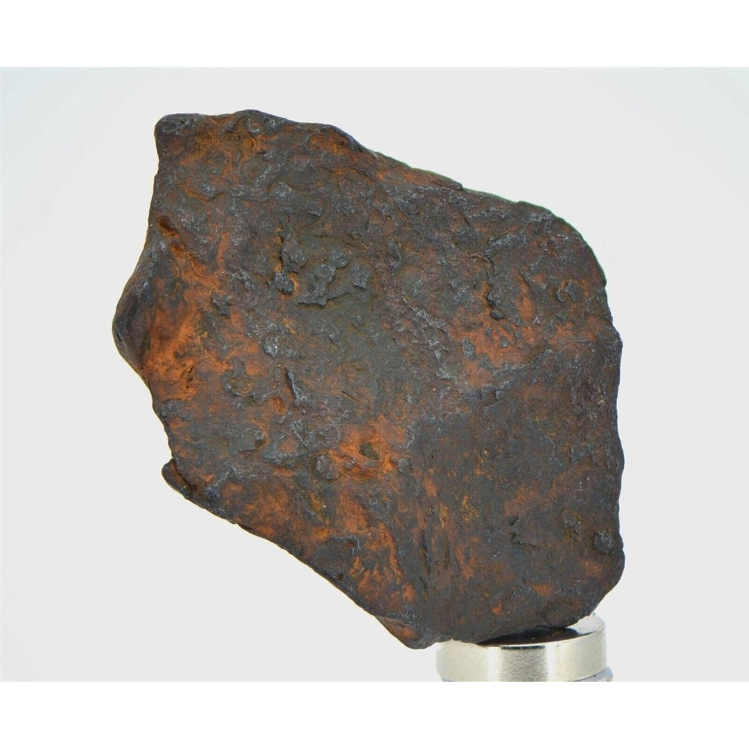 16.5 gram CANYON DIABLO meteorite - IAB Iron Meteorite - TOP METEORITE Image 4