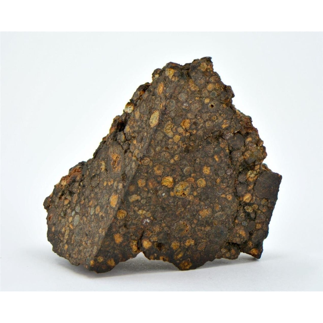 20.63g CR2 Carbonaceous Chondrite Meteorite I NWA 1180 - TOP METEORITE Image 1