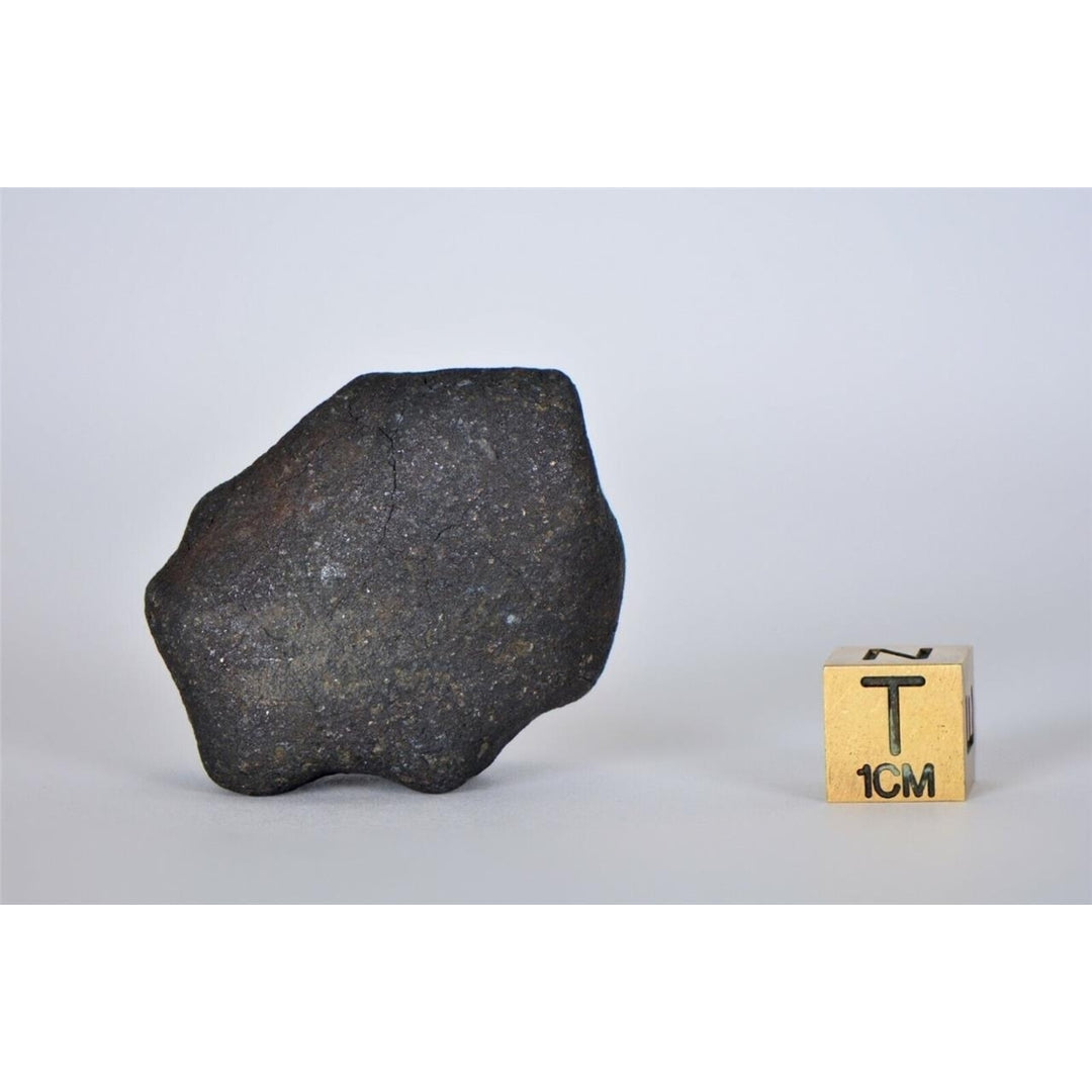 38.84g KSAR El GORAANE - H5 Moroccan Meteorite Fall Oct 2018 - TOP METEORITE Image 4