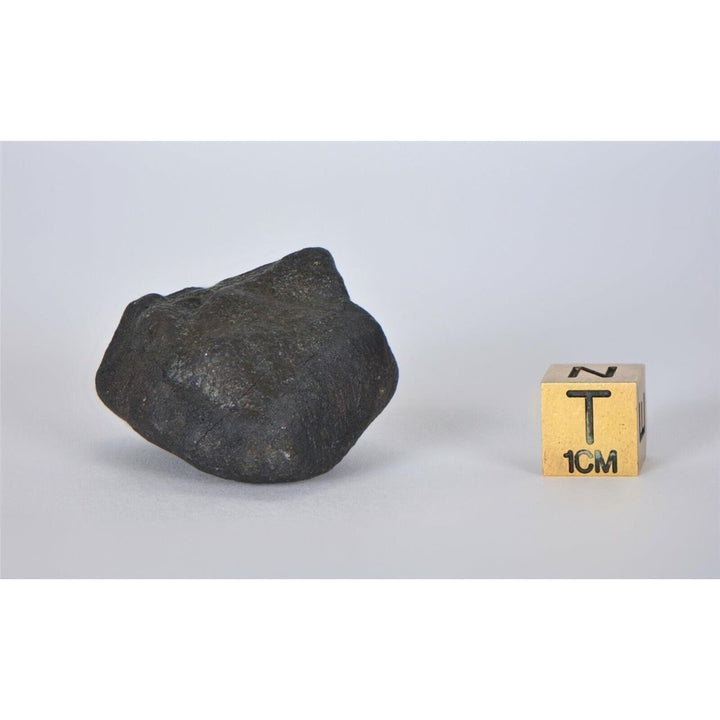 38.84g KSAR El GORAANE - H5 Moroccan Meteorite Fall Oct 2018 - TOP METEORITE Image 4