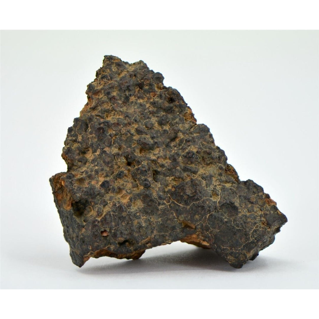 20.63g CR2 Carbonaceous Chondrite Meteorite I NWA 1180 - TOP METEORITE Image 2