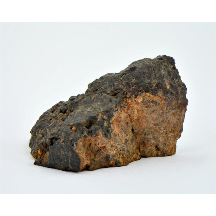 20.63g CR2 Carbonaceous Chondrite Meteorite I NWA 1180 - TOP METEORITE Image 6