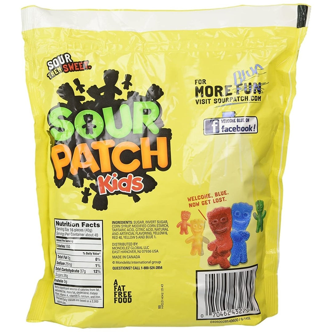 Sour Patch Kids Soft and Chewy Candy (3.5 Pounds) Image 2