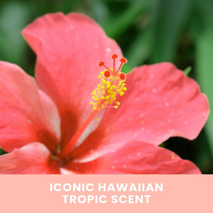 Hawaiian Tropic Gradual Tan Sunless Tanning Lotion12.6oz Image 7