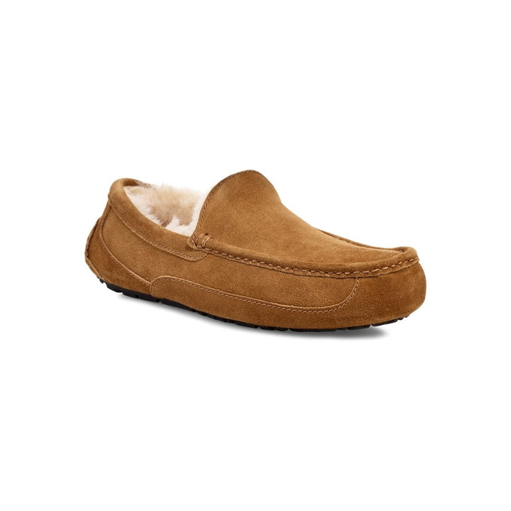 UGG Mens Ascot Slipper Chestnut - 1101110-CHE  CHESTNUT Image 1