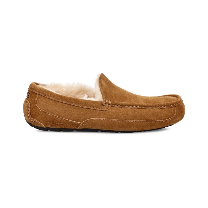 UGG Mens Ascot Slipper Chestnut - 1101110-CHE CHESTNUT Image 2