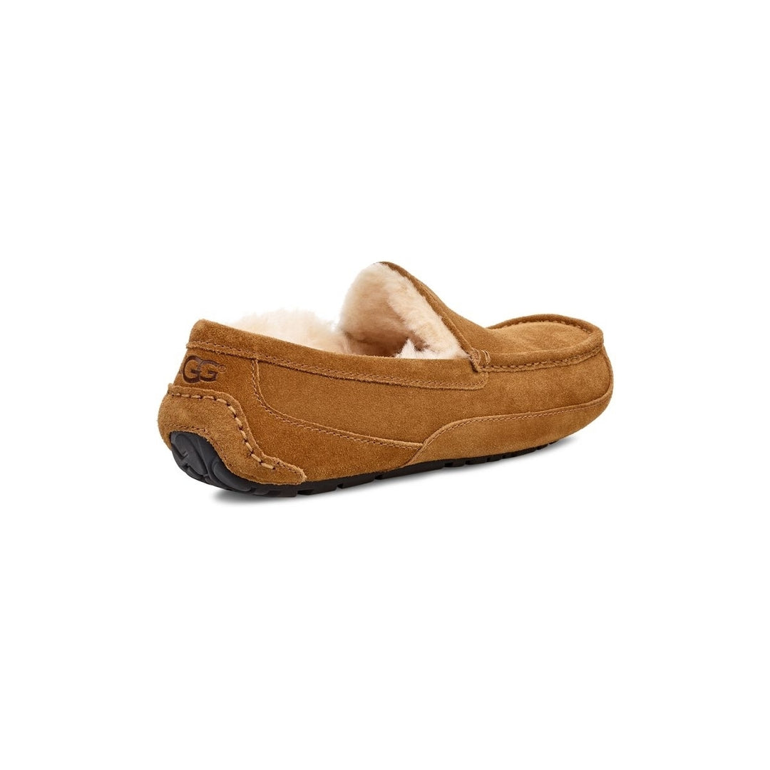 UGG Mens Ascot Slipper Chestnut - 1101110-CHE  CHESTNUT Image 4