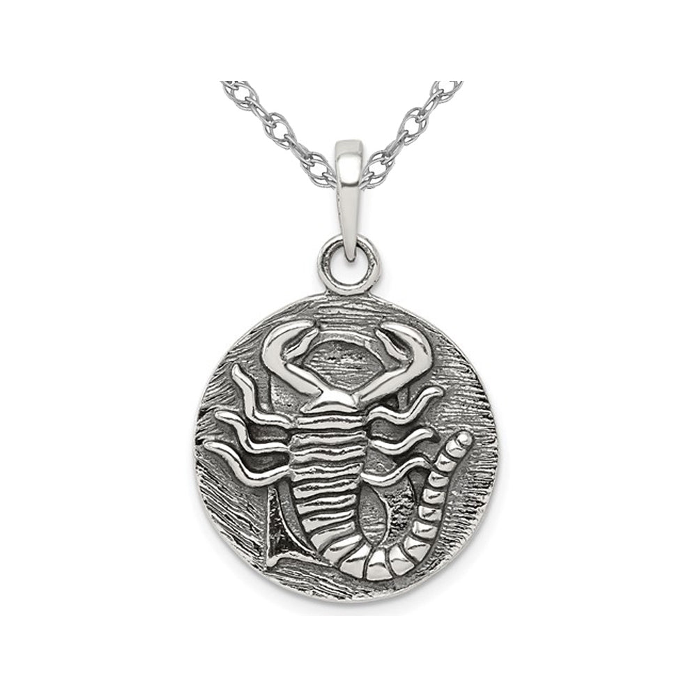 Sterling Silver SCORPIO Charm Zodiac Astrology Pendant Necklace with Chain Image 1