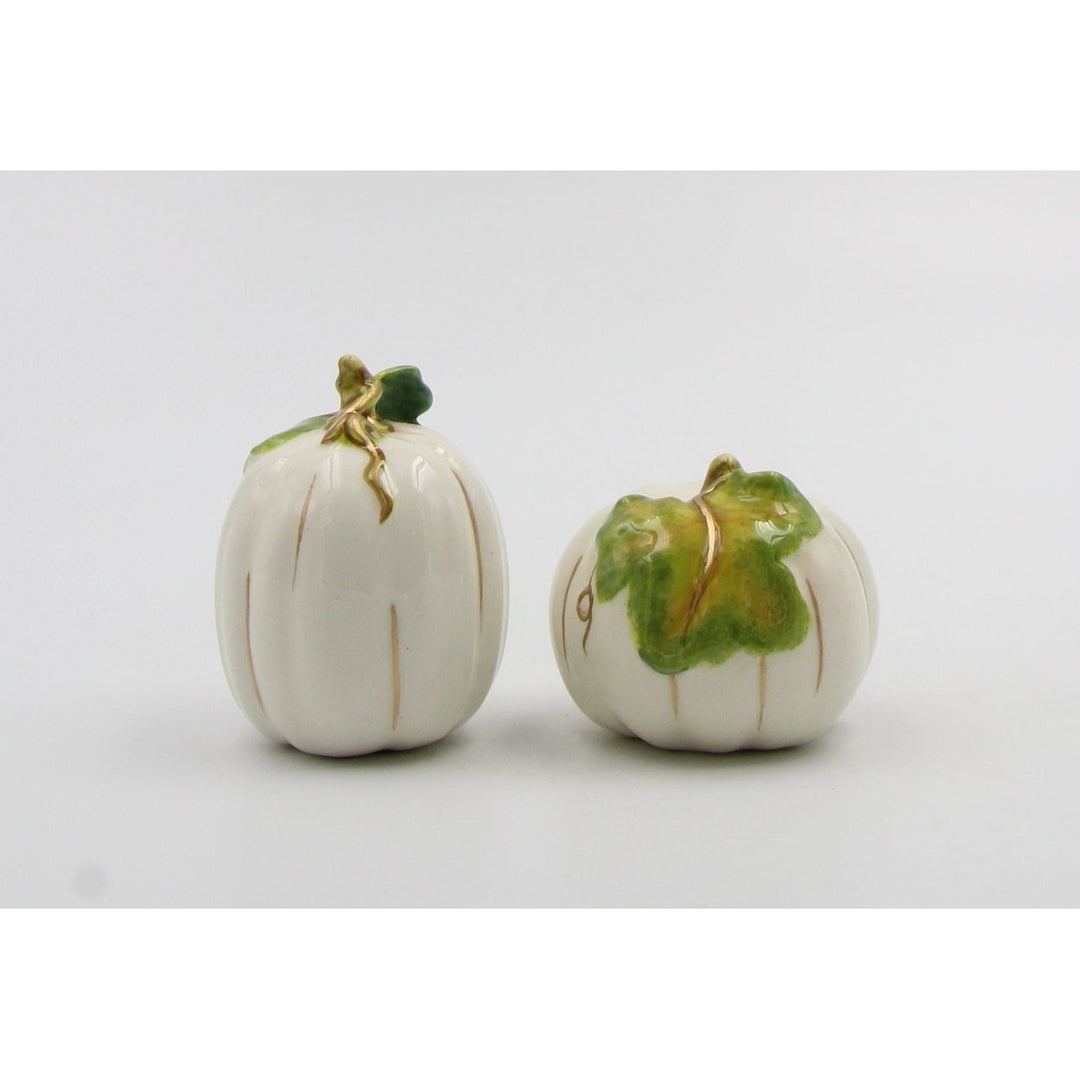 Ceramic White Pumpkin Salt and Pepper Shakers Gift Set Image 3