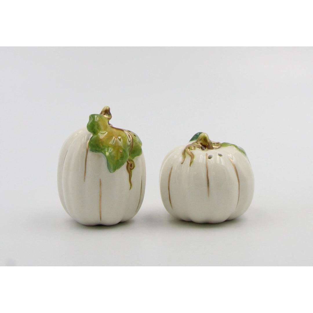 Ceramic White Pumpkin Salt and Pepper Shakers Gift Set Image 4