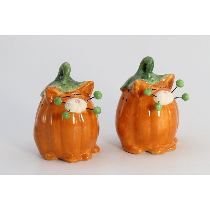 Ceramic Pumpkin Cat Salt and Pepper Shakers Fall Halloween Gift Image 4