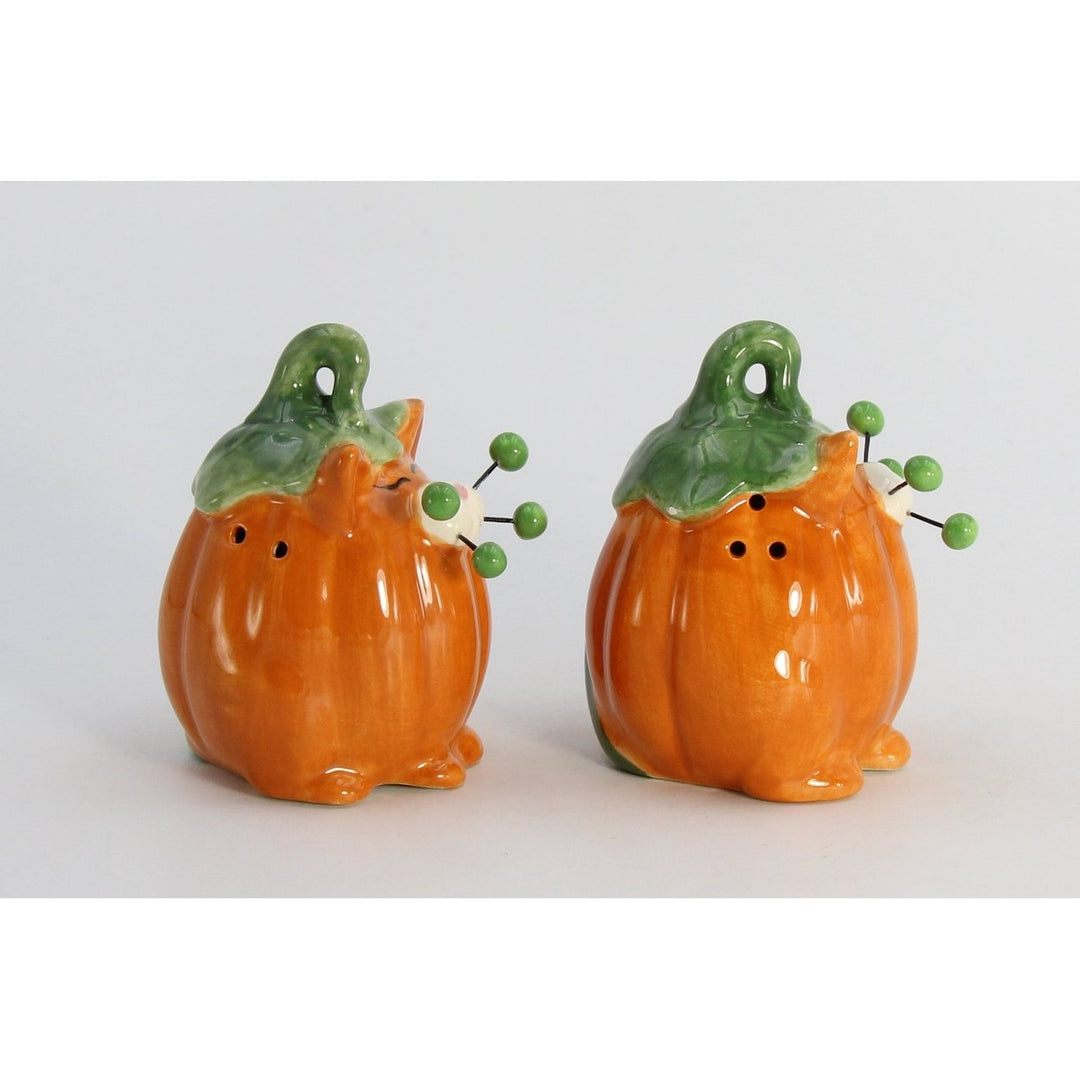 Ceramic Pumpkin Cat Salt and Pepper Shakers Fall Halloween Gift Image 4