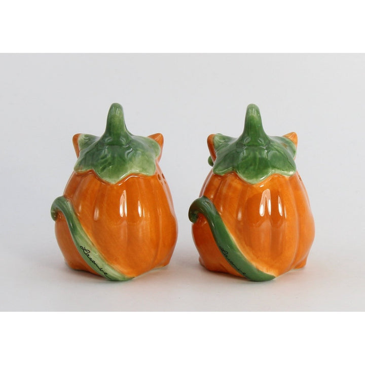 Ceramic Pumpkin Cat Salt and Pepper Shakers Fall Halloween Gift Image 6