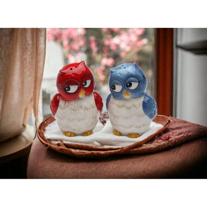 Ceramic Owl Salt and Pepper Shakers Blue Red 2x1.625x3in Image 2