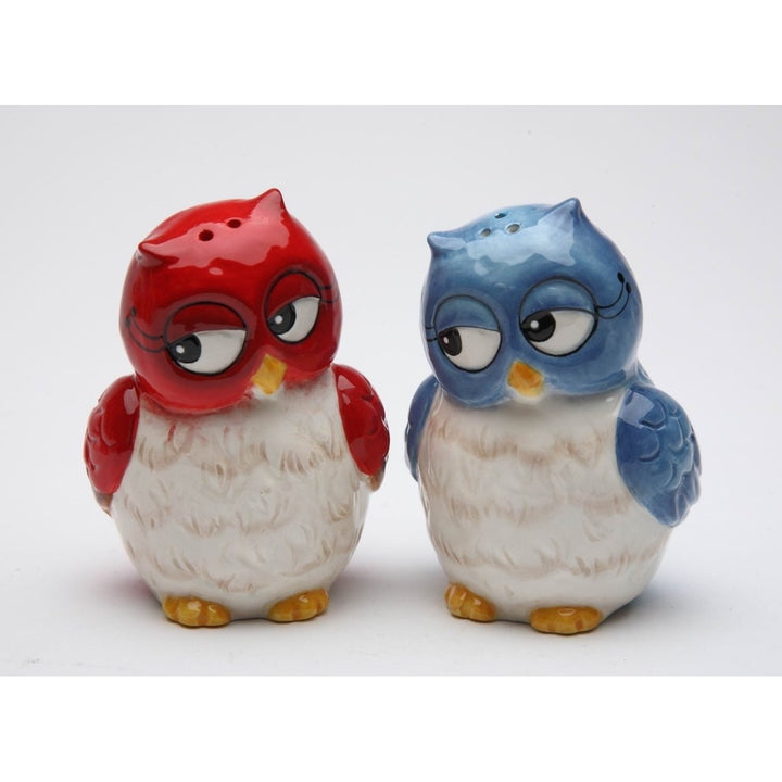 Ceramic Owl Salt and Pepper Shakers Blue Red 2x1.625x3in Image 3