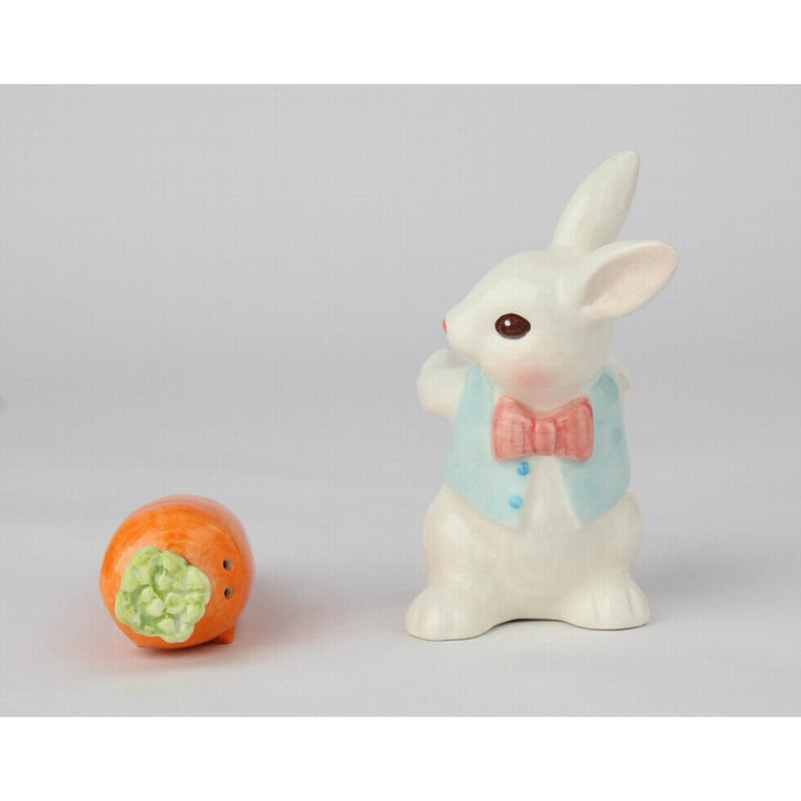 Ceramic Easter Bunny Salt and Pepper Shakers 3.375in Image 6