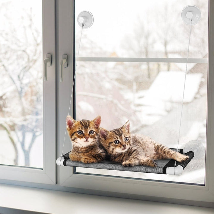 Cat Window Perch Cat Hammock Window Seat Window Mounted Cat Bed Hanging Cat Seat Hold up to 66lbs Image 7