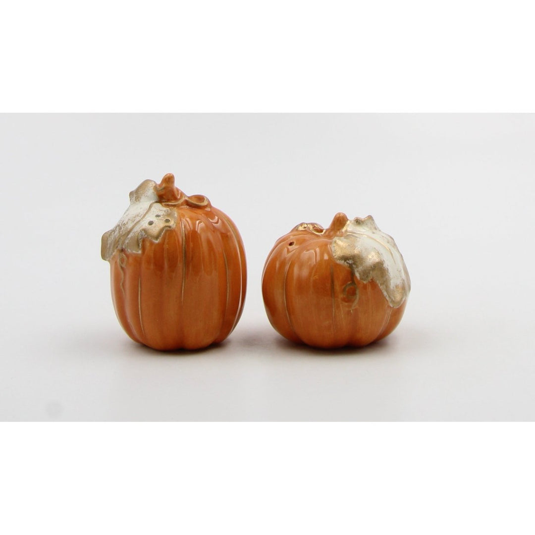 Ceramic Autumn Harvest Pumpkins Salt and Pepper Shakers Thanksgiving Gift Image 3