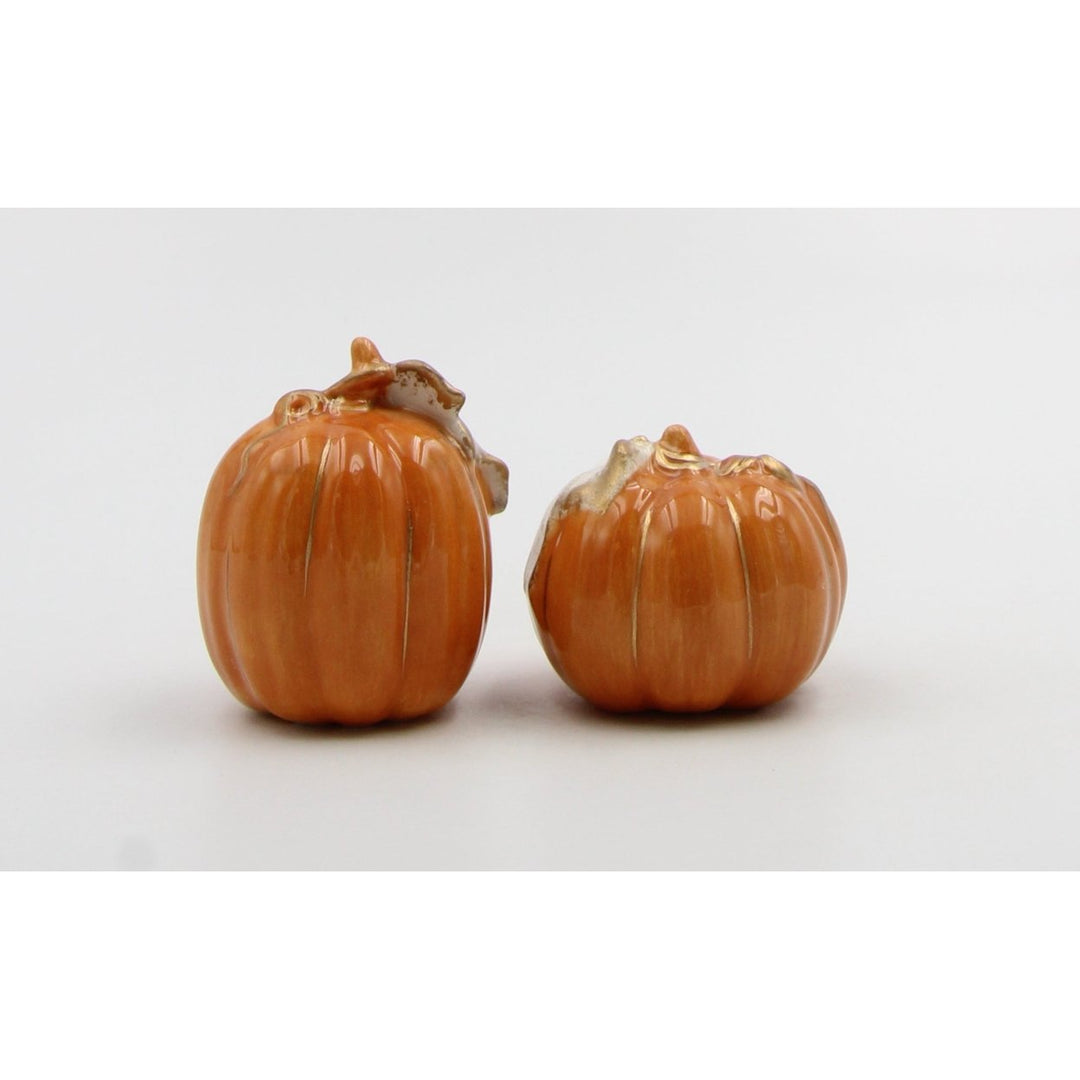 Ceramic Autumn Harvest Pumpkins Salt and Pepper Shakers Thanksgiving Gift Image 4