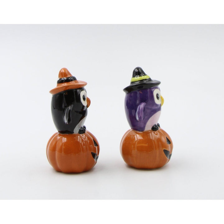 Ceramic Halloween Owl Witches Salt and Pepper Shakers Image 4