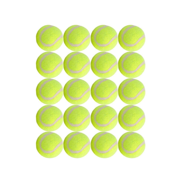 Dog Tennis Balls 20 Pack Pet Tennis Ball for Small Dogs Premium Fetch Toy Non-Toxic Non-Abrasive Material Image 1