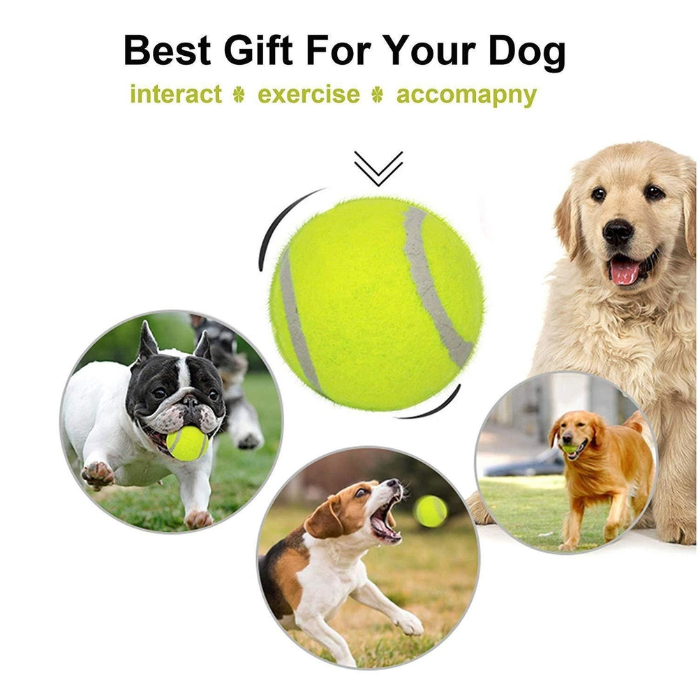 Dog Tennis Balls 20 Pack Pet Tennis Ball for Small Dogs Premium Fetch Toy Non-Toxic Non-Abrasive Material Image 2