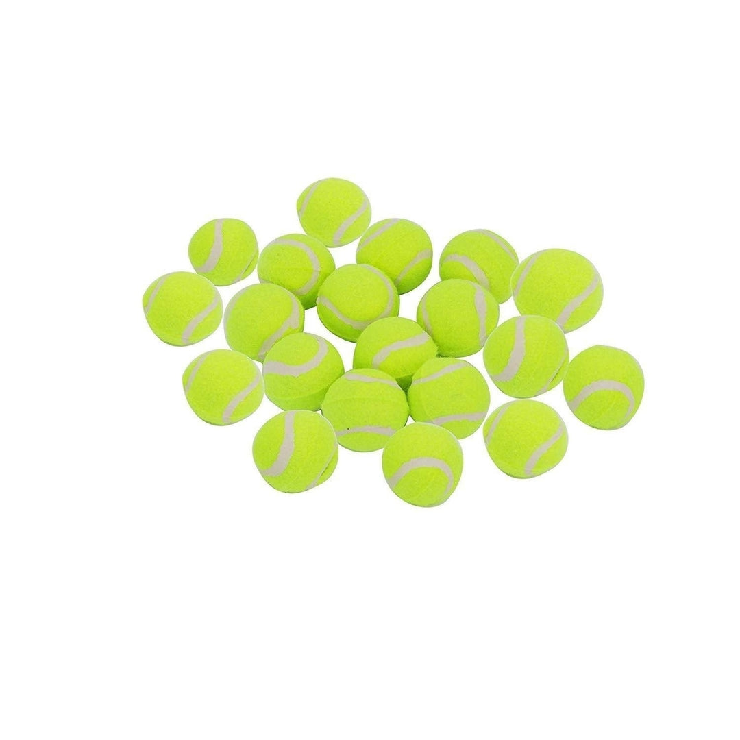 Dog Tennis Balls 20 Pack Pet Tennis Ball for Small Dogs Premium Fetch Toy Non-Toxic Non-Abrasive Material Image 4