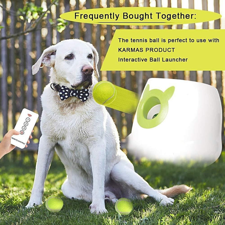 Dog Tennis Balls 20 Pack Pet Tennis Ball for Small Dogs Premium Fetch Toy Non-Toxic Non-Abrasive Material Image 6